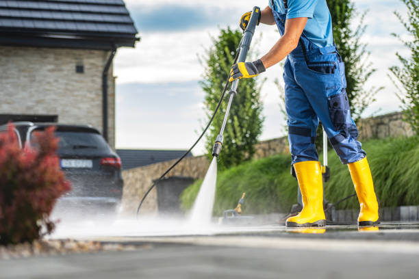 Best Building Exterior Washing  in Lake Shore, MN